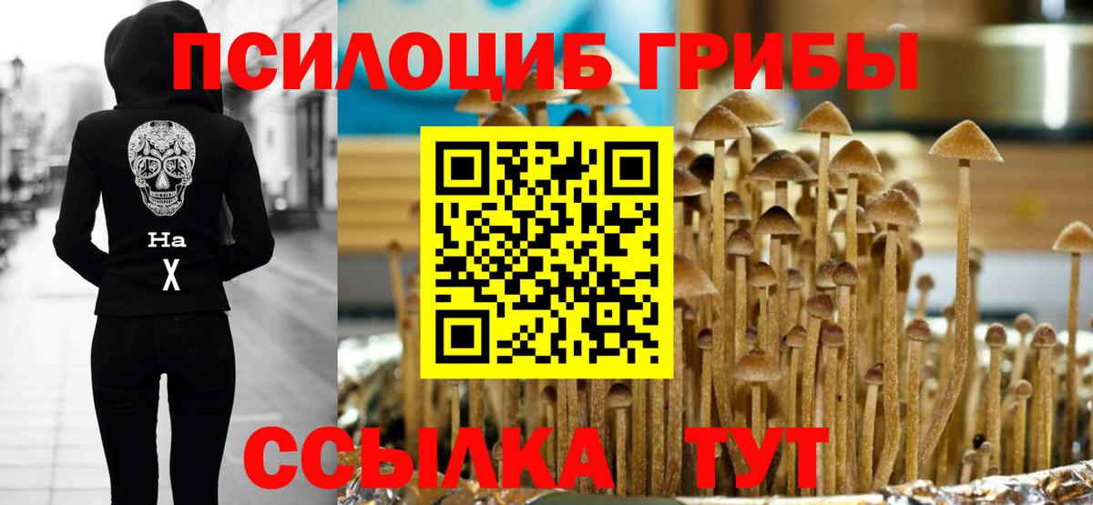 Галлюциногенные грибы Psilocybine cubensis Верхняя Пышма