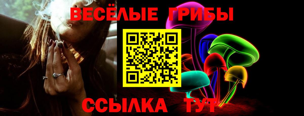 Верхняя Пышма  Псилоцибиновые грибы ЛСД  закладка  Галлюциногенные грибы прущие грибы  Вход с VPN 